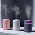 H2O Humidifier - Dry Air Relief Device for Winter