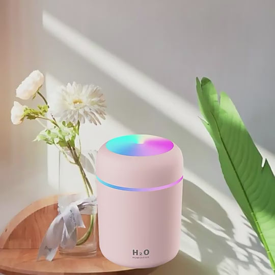 H2O Humidifier - Dry Air Relief Device for Winter